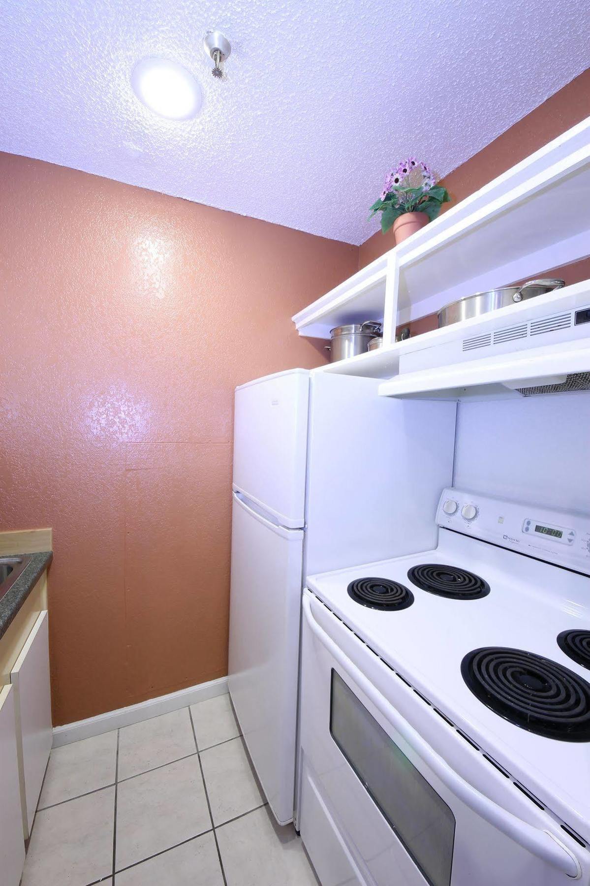 Hyde Park Hotel Tampa Ngoại thất bức ảnh